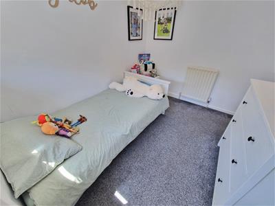 Picture 20